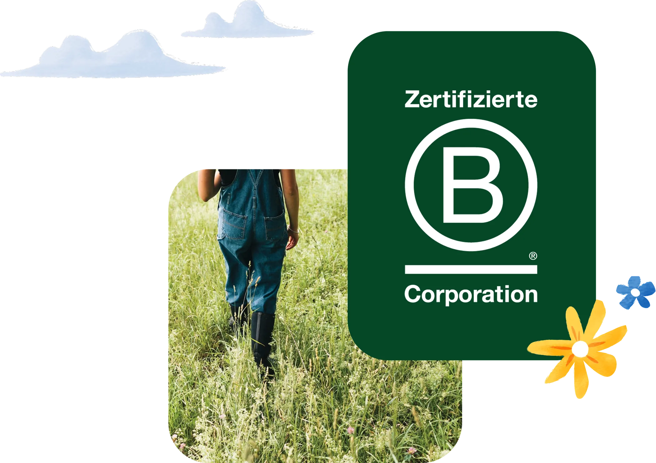 Eine Person liegt entspannt auf einer Wiese – Evergreen ist eine zertifizierte B Corp