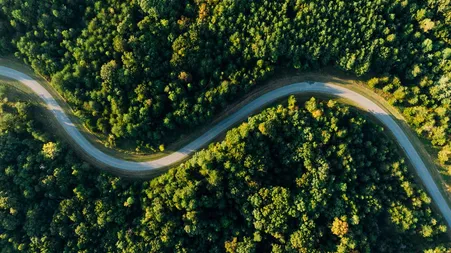 Luftaufnahme einer Straße, die sich durch einen dichten Wald schlängelt